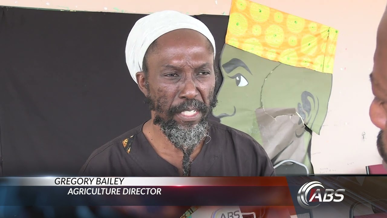 DIRECTOR OF AGRICULTURE PROVIDES UPDATE ON EFFORTS TO INCREASE PRODUCTION - Vimarsana News