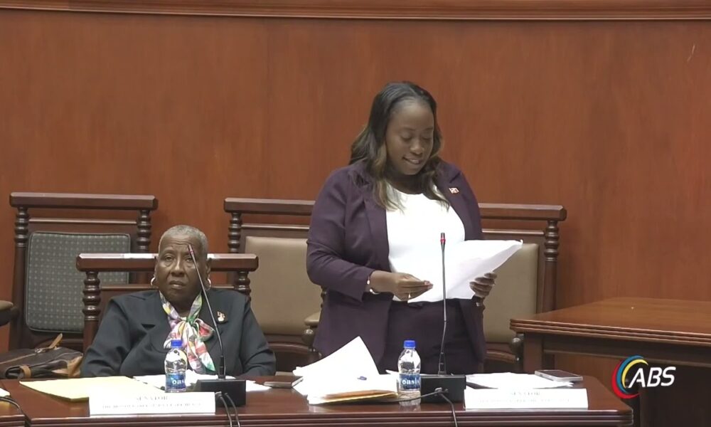 SENATOR SHENELLA GOVIA TAKES ON NEW ROLE AS LEADER OF GOVERNMENT ...