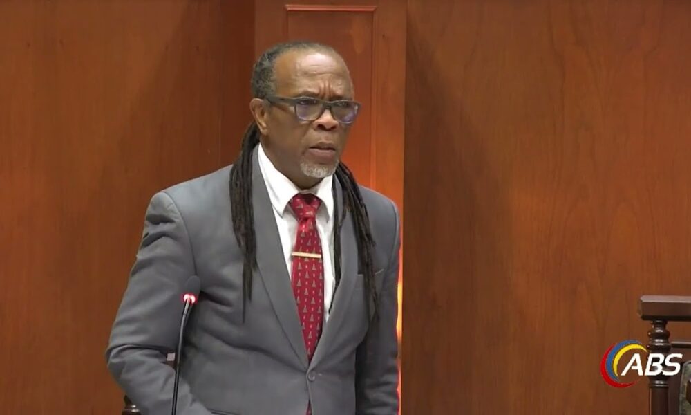 SENATOR COLIN BROWNE POINTS TO BEVY OF SOCIO-ECONOMIC ADVANCES UNDER ABLP ADMINISTRATION