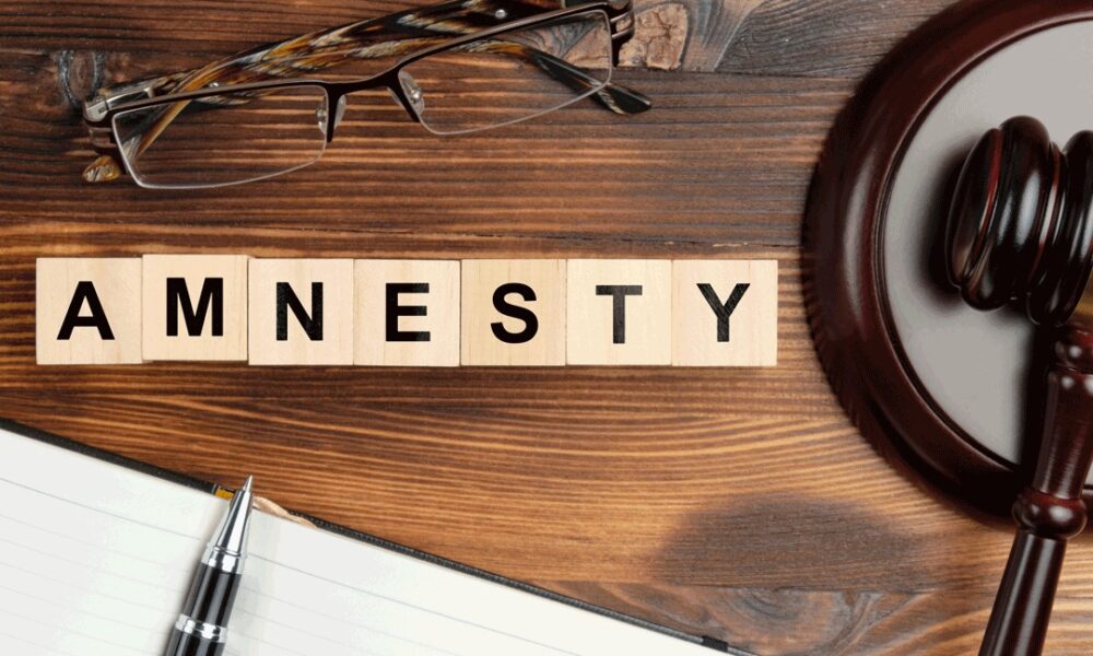 Immigration Amnesty Details Expected Before Cabinet Next Week