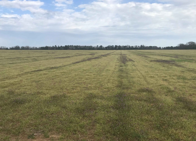 Government Recovers 150 Acres of Unproductive Farmlands