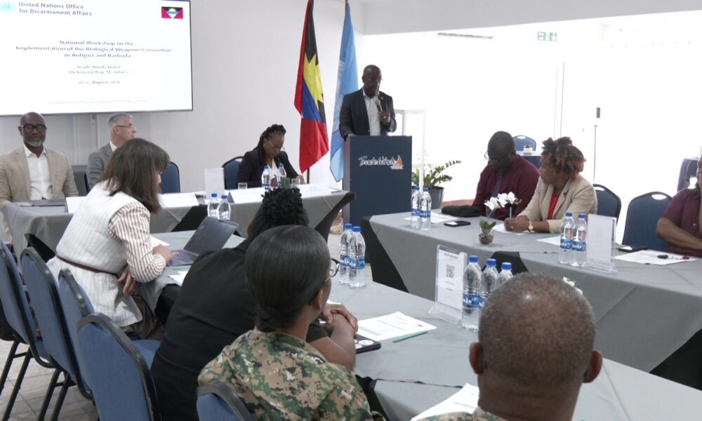 A&B TO CRAFT KEY REPORT FOLLOWING WORKSHOP ON BIOLOGICAL THREATS